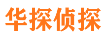 莲湖市侦探公司